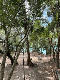 Deluxe loft with direct access to the lagoon - 6