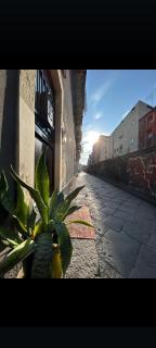 Marilor Apartments - 5