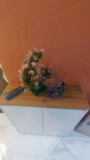 Alvacini Studio2 - 5