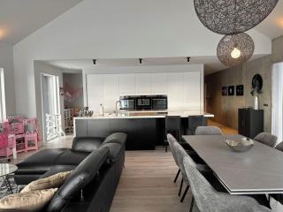 Luxury lakefront Villa 15 min drive to downtown - 1