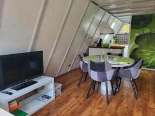 Nurdachhaus Ferienpark Schellbronn - 8