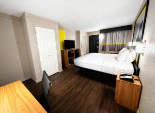 Super 8 by Wyndham Nacogdoches Near University - 6