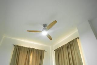 Hotel Bimini View, Climate, Comfort, and Relaxatio - 3