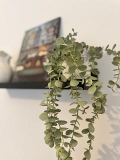 Modern Ensuite Studio Rooms, Mansfield Road, Luton - 5