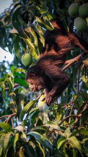 Maravida Boutique Hotel & Resort - 3