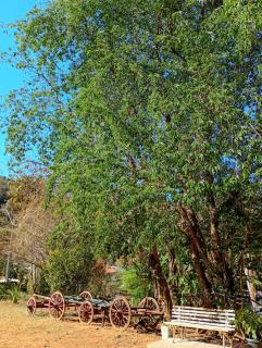 Chalé vale do Monte Verde - 4