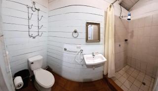 La Palmera Dorada - 8