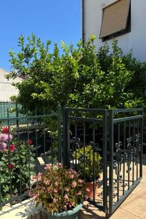 Apartment Vis 2436a - 5