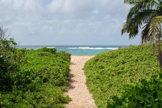 Secluded Sands 5 Min Walk To Secluded Beach, AC - 8