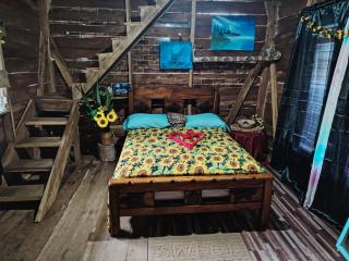 Turtle forest Cabine - 4