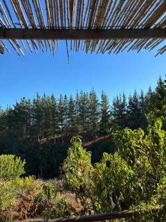 Converted Farm Loft - 7