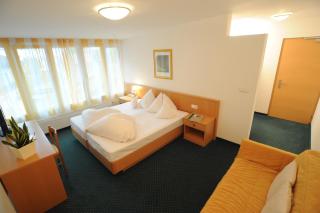 Genusshotel Goldene Rose - Silandro - 9