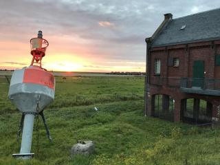 Penthaus an der Harle - 5