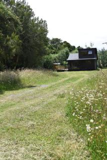 Entre Bosques Ensenada - Tiny House - 0
