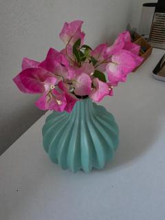 Chambre chez l'habitant Petit-Bourg - 9