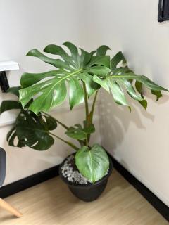 Habitación privada cerca al aeropuerto - 5