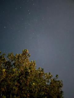 Karaka Private Farm Retreat - 7