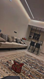 شاليه اغصان الباحة - 5