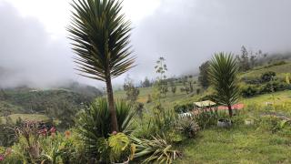 CASA de SALCANTAY , Choquequirao - 7