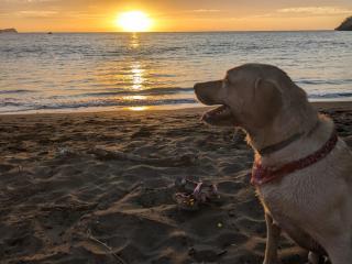 The Paradise Jungle Studio - 9