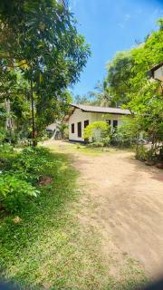 Mangala gust house - 2