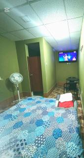 EL BOSQUE Hostal - 1