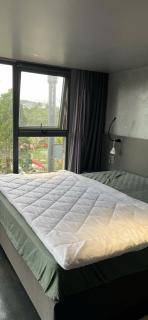 Ngô Đồng 2F - Lâm Viên - 6