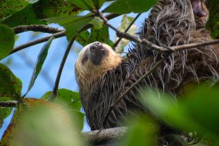 Coral View Hotel - 5