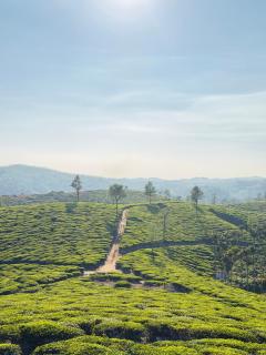 Ganges Budget Villa Thekkady - 2