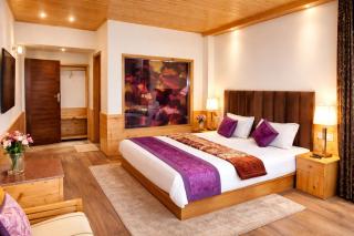 Vayza Heights Manali - 4