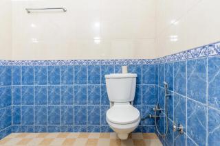 House of Hive, Mukteshwar - 8