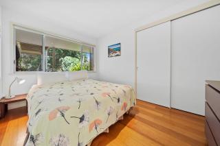 Dragonflies on Billa - 3