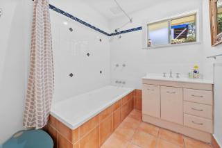 Dragonflies on Billa - 1