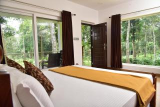 Kailas Estate Trails - Woodsville - 7