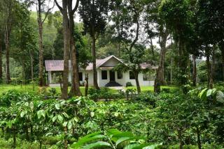 Kailas Estate Trails - Woodsville - 2