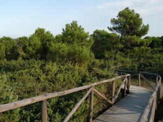 Villa Bungalow 2 - Rosolina Mare - 7