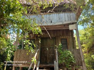 Mida Creek Eco Camp - 9