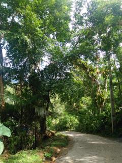 Casa da Eunice - Paraty - 2