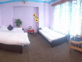 Hotel T-Suru Leh - 9