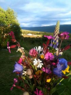 Authentic Norwegian Cabin Retreat In Geilo - 2