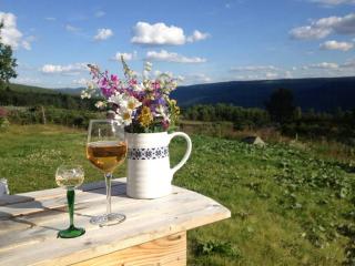 Authentic Norwegian Cabin Retreat In Geilo - 1