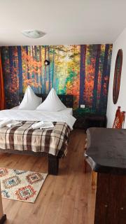 Pensiunea Luceafărul, Pasul Mestecăniș - 1