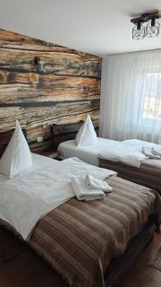 Pensiunea Luceafărul, Pasul Mestecăniș - 6