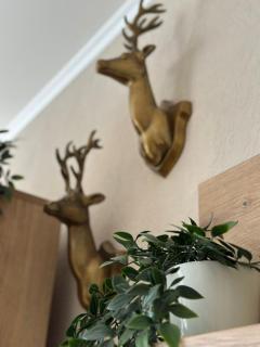 Ferienwohnung Gipfelblick Braunlage mit fantastischem Wurmbergblick inkl Endreinigung - 8