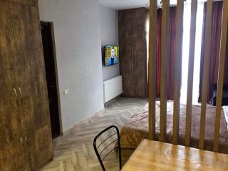 ბაკურიანის აპარტამენტი - 2