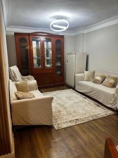 Vibrant Family Apt Street 9 Mokattam - 9