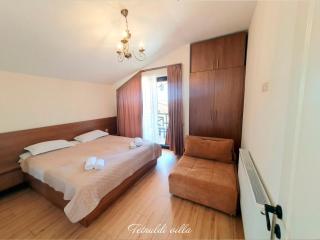 Tetnuldi villas - Bakuriani - 1