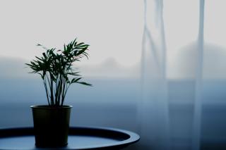 Family & Friends Apartment Free Parking by CityBeat - 4