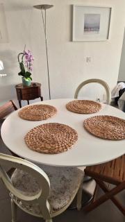 Sunny Terrace Oasis with Mont Blanc View in Central Geneva - 1