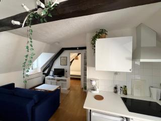 Urban Jungle T2 Pau tout à pied - Pau - 8